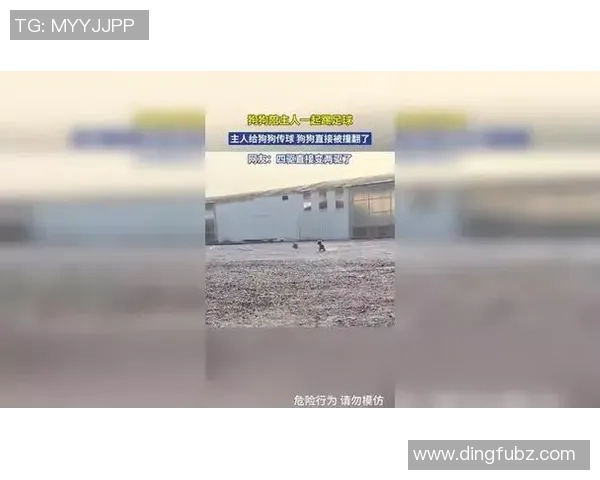 狗狗意外撞脸足球明星瞬间引发网友热议视频播放量暴涨