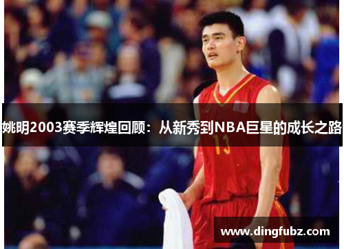 姚明2003赛季辉煌回顾：从新秀到NBA巨星的成长之路